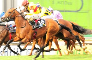 Tellina-wins-BW-Gauteng-Guineas-300x195.jpg