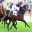 SAFilliesClassic-Athina.jpg