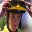 horse-racing-chad-schofield_3290787.jpg