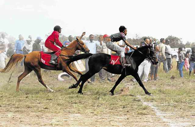 hORSES.jpg