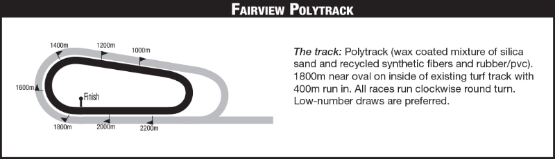 FAIRVIEWPOLLY_2020-11-05.png
