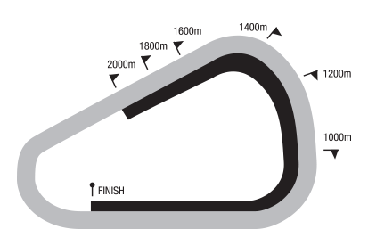 GREY_2020-07-14.png