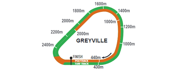 Greyville_2021-09-08.png