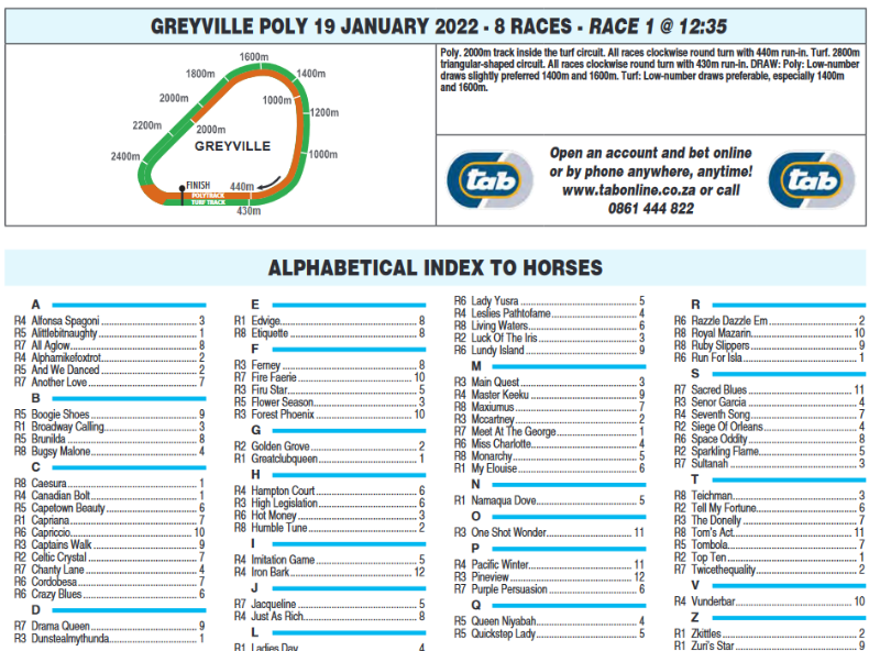 Screenshot2022-01-18at22-51-09HOLLYWOODBETSGREYVILLE20220119pdf.png