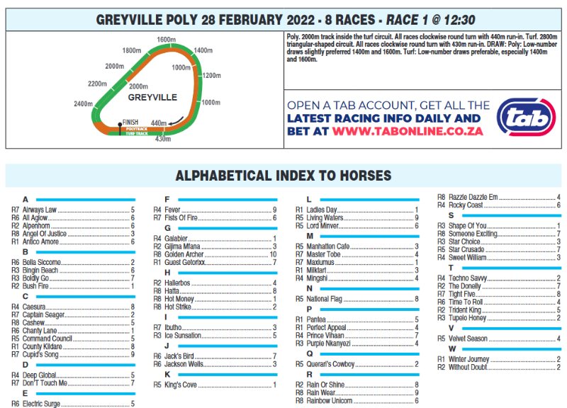 Screenshot2022-02-27at20-34-31HOLLYWOODBETSGREYVILLE20220228pdf.png