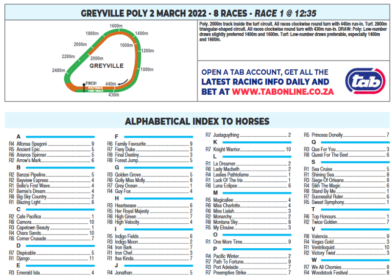 Screenshot2022-03-01at18-39-01HOLLYWOODBETSGREYVILLE20220302pdf.png