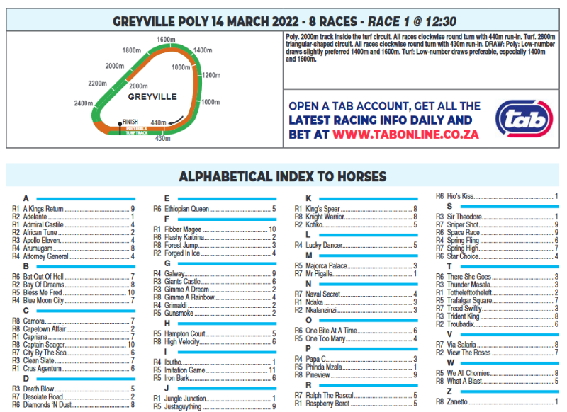 Screenshot2022-03-13at22-39-09HOLLYWOODBETSGREYVILLE2022.03.14.pdf.png
