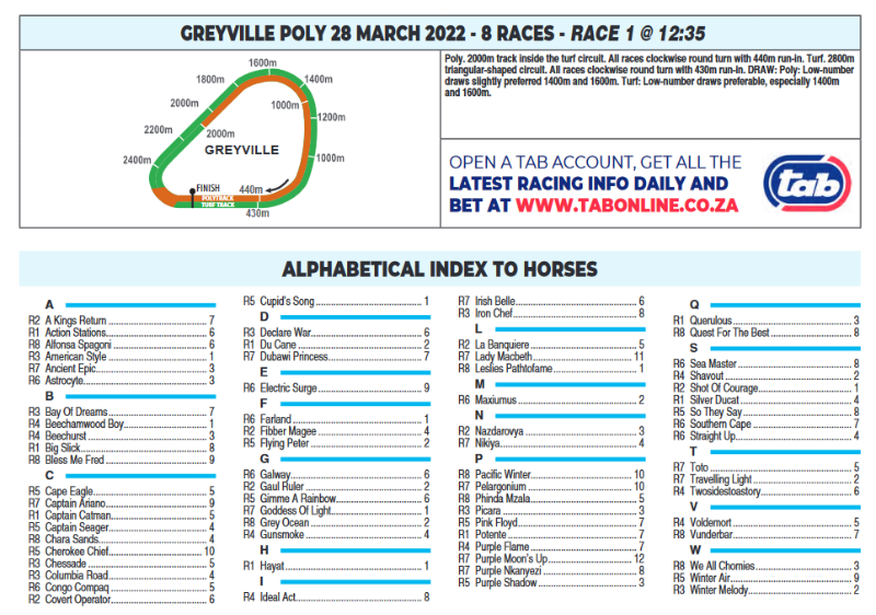 Screenshot2022-03-27at17-58-16CFSA_GREYVILLE2022.03.28.indb-HOLLYWOODBETSGREYVILLE2022.03.28.pdf.png