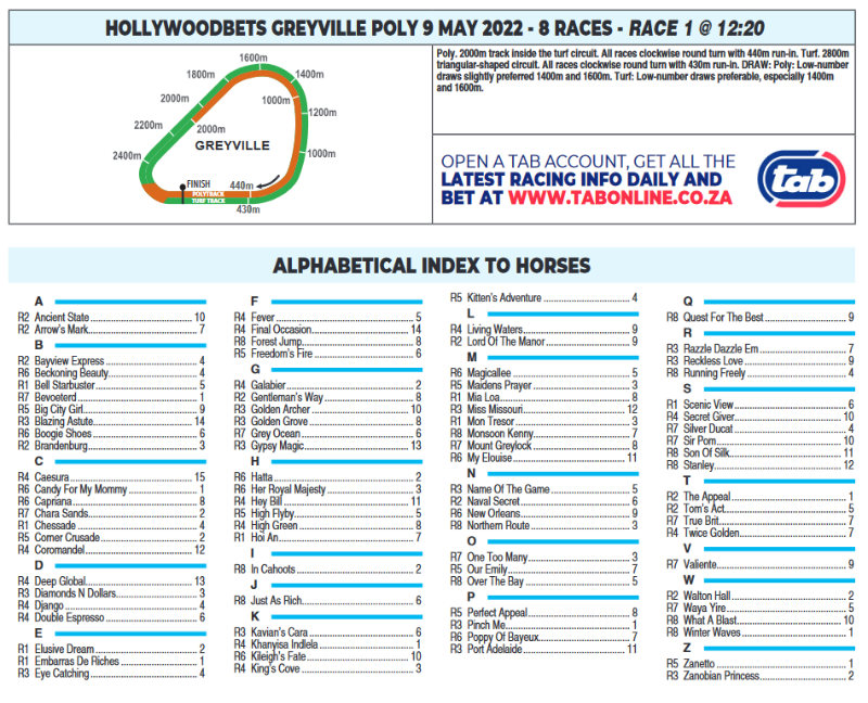 Screenshot2022-05-09at09-50-58CFSA_GREYVILLE2022.05.09.indb-HOLLYWOODBETSGREYVILLE2022.05.09.pdf.png