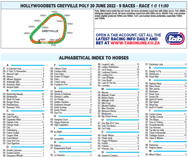 Screenshot2022-06-19at23-15-59HOLLYWOODBETSGREYVILLE2022.06.20.pdf.png