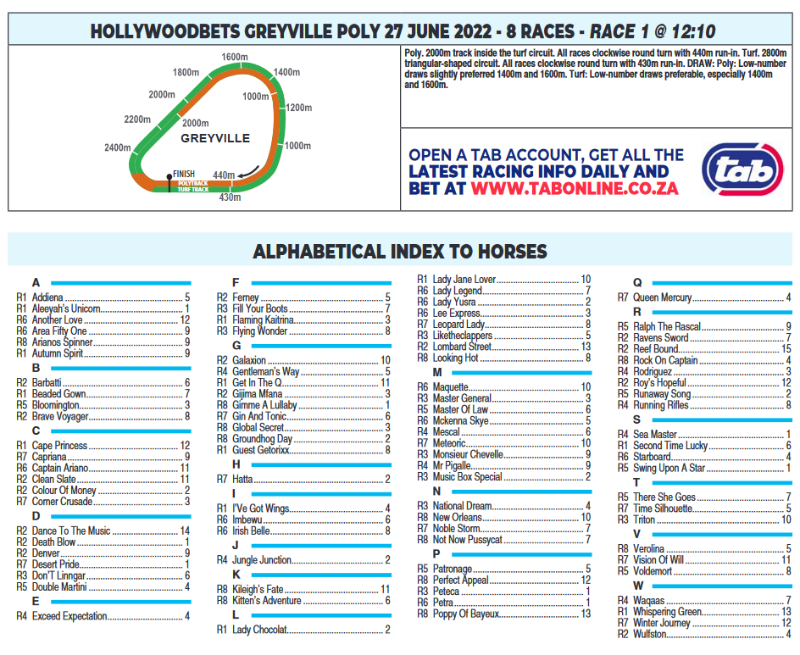 Screenshot2022-06-26at23-21-28HOLLYWOODBETSGREYVILLE2022.06.27.pdf.png