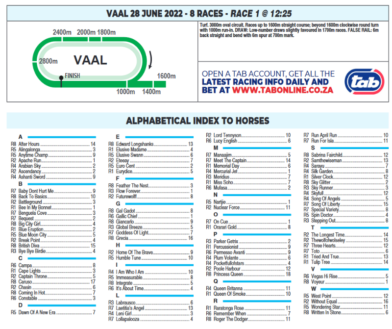 Screenshot2022-06-27at22-48-39CFSA_VAAL2022.06.28.indb-VAAL2022.06.28.pdf.png