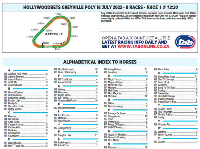 Screenshot2022-07-17at19-43-22CFSA_GREYVILLE2022.07.18.indb-HOLLYWOODBETSGREYVILLE2022.07.18.pdf.png