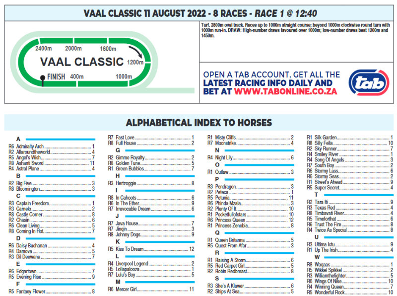 Screenshot2022-08-10at09-56-38CFSA_VAAL2022.08.11.indb-VAAL2022.08.11.pdf.png