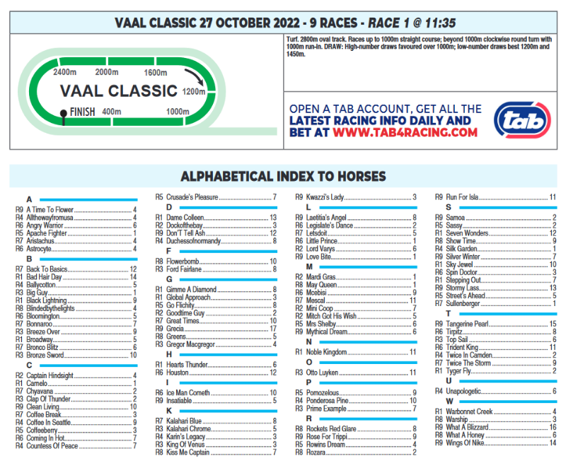 Screenshot2022-10-26at22-02-44CFSA_VAAL2022.10.27.indb-VAAL2022.10.27.pdf.png