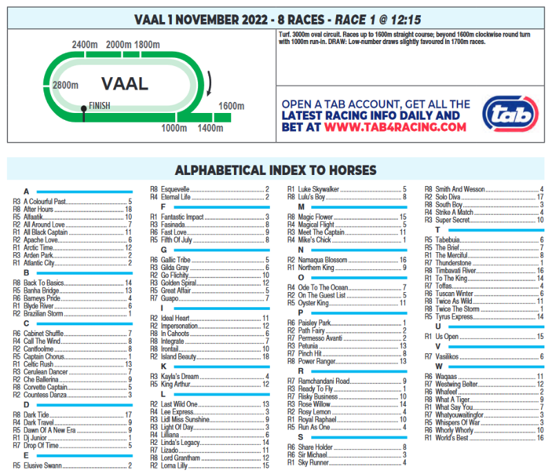 Screenshot2022-10-31at22-14-37CFSA_VAAL2022.11.01.indb-VAAL2022.11.01.pdf.png