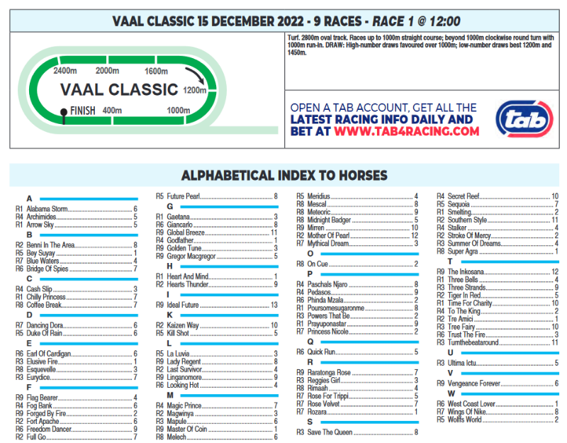 Screenshot2022-12-14at19-52-44CFSA_VAAL2022.12.15.indb-VAAL2022.12.15.pdf.png