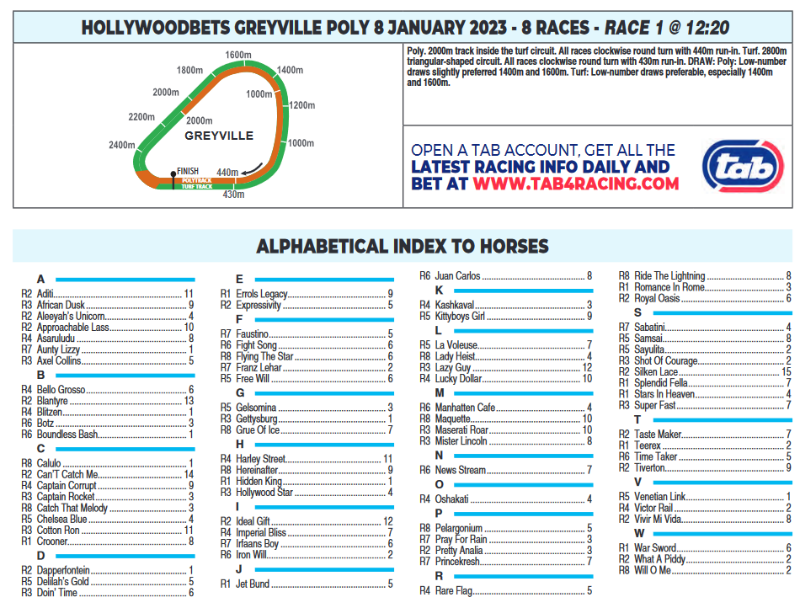 Screenshot2023-01-07at18-56-02CFSA_GREYVILLE2023.01.08.indb-HOLLYWOODBETSGREYVILLE2023.01.08.pdf.png