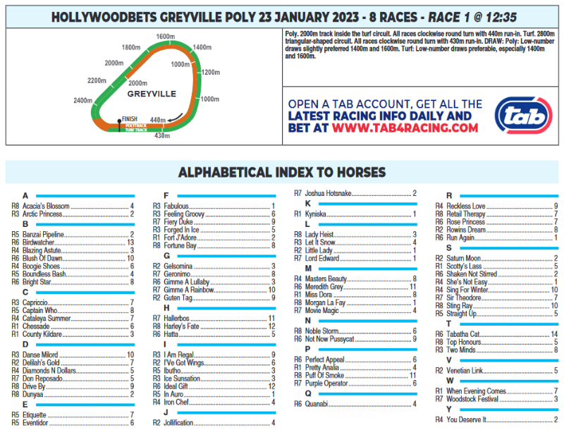 Screenshot2023-01-22at22-10-00CFSA_GREYVILLE2023.01.23.indb-HOLLYWOODBETSGREYVILLE2023.01.23.pdf.png