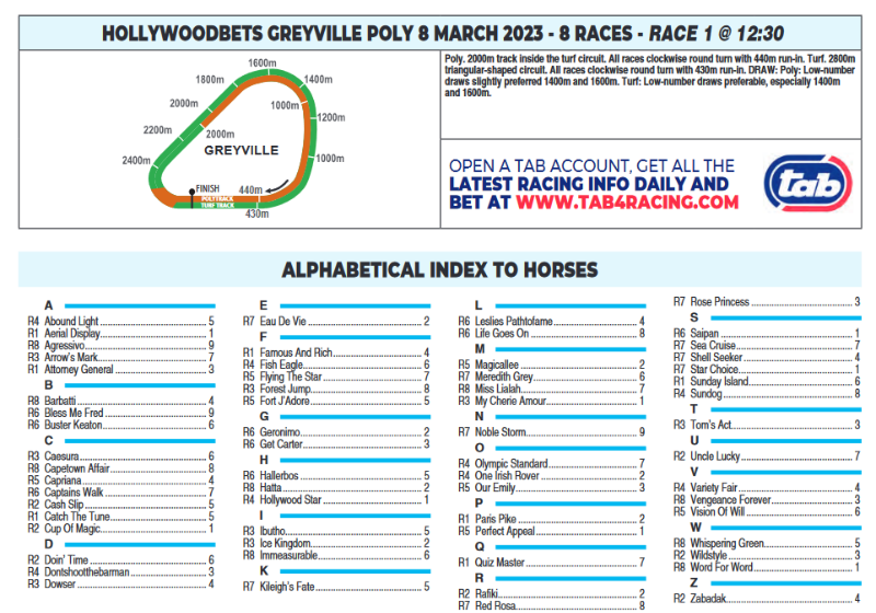 Screenshot2023-03-07at22-42-14CFSA_GREYVILLE2023.03.08.indb-HOLLYWOODBETSGREYVILLE2023.03.08.pdf.png