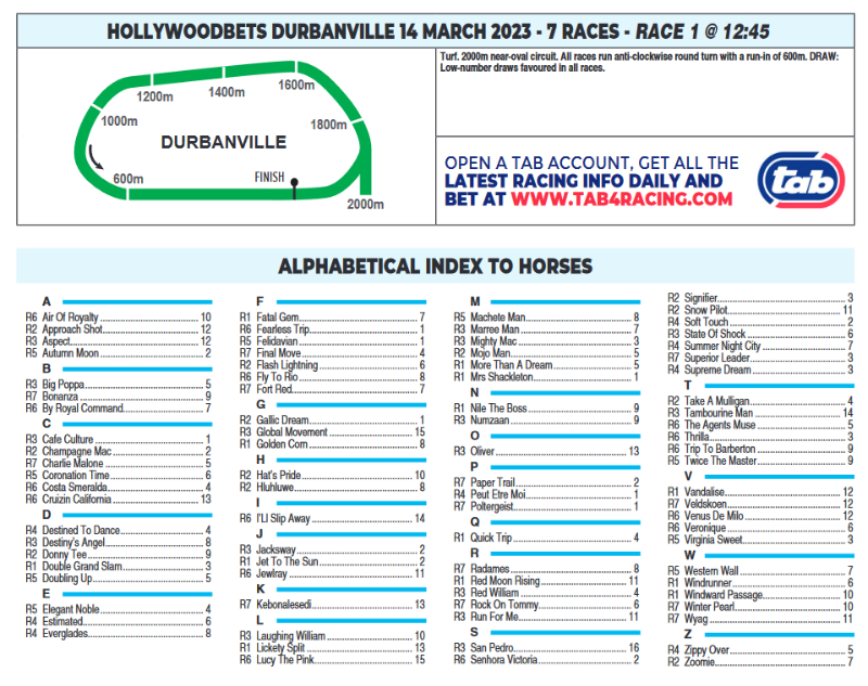 Screenshot2023-03-13at22-36-47HOLLYWOODBETSDURBANVILLE2023.03.14.pdf.png