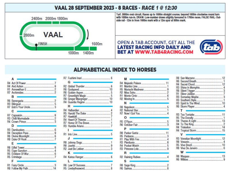 Screenshot2023-09-28at03-28-51CFSA_VAAL2023.09.28.indb-VAAL2023.09.28.pdf.png
