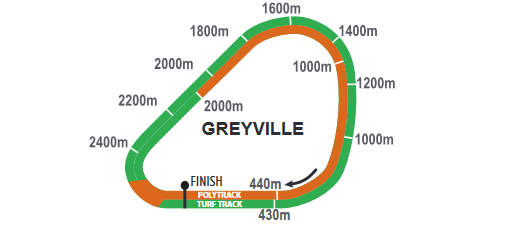 Screenshot_2021-02-09CFSA_GREYVILLE20210210indb-HOLLYWOODBETSGREYVILLE20210210pdf_2021-03-10.png