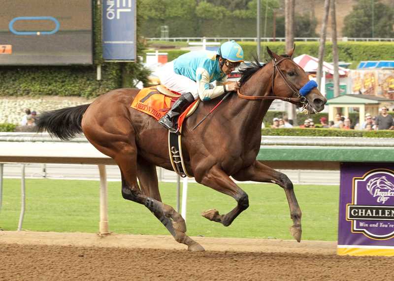 americanpharoah9-273_0.jpg